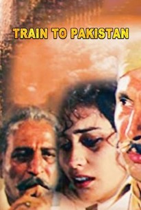 train to pakistan movie story