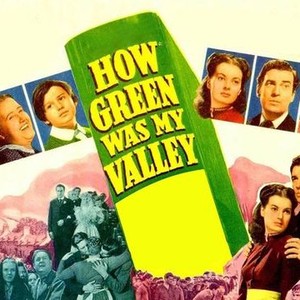 "How Green Was My Valley photo 1"