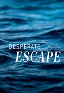 Desperate Escape poster image