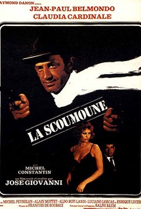 La Scoumoune (Hit Man)(Mafia Warfare)(The Pariah)
