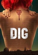 Dig poster image