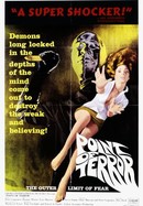 Point of Terror poster image