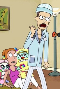 Rick and Morty: Season 2, Episode 4 - Rotten Tomatoes