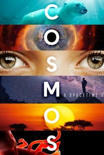 Image result for Cosmos tv show