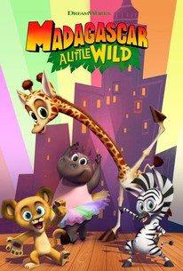 Madagascar: A Little Wild
