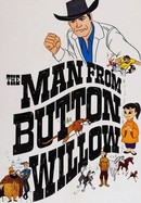 The Man From Button Willow poster image