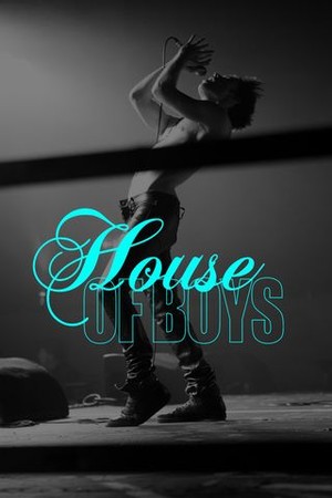 House of Boys poster
