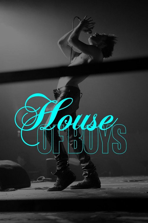 House of Boys poster
