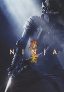 Ninja poster image