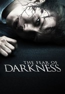 The Fear of Darkness poster image
