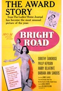 Bright Road poster image
