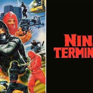 Ninja Terminator photo 7