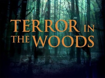 Prime Video: The Watcher in the Woods - Season 1
