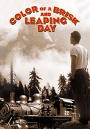 Color of a Brisk and Leaping Day poster image