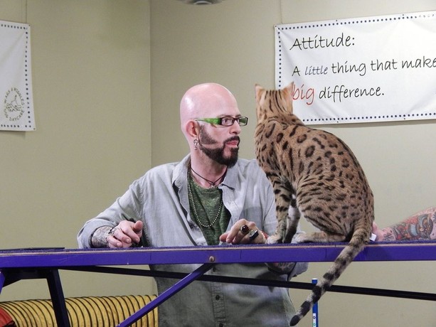 My cat from hell season 7 episode best sale 3