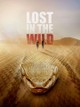 Lost in the Wild
