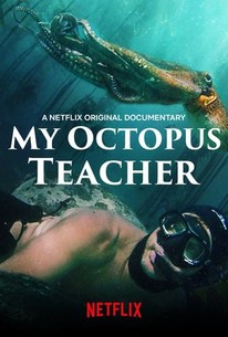Watch trailer for My Octopus Teacher