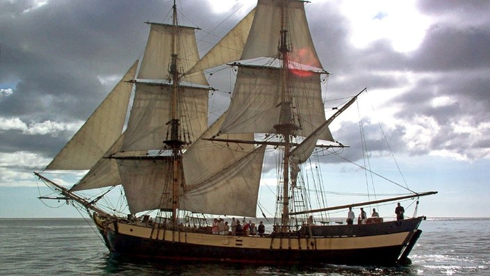 その他 Uss Constellation: Battling for Freedom [DVD] Amazon.com: USS Constellation: Battling for Freedom