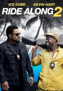 Ride Along 2 poster image