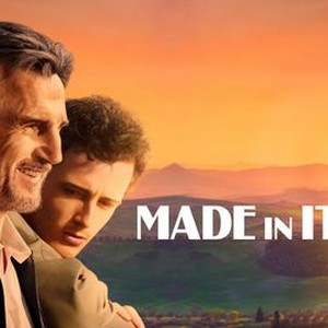 Made in Italy (2020)