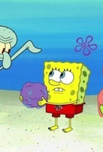 Spongebob Squarepants Season 9 Episode 13 Rotten Tomatoes