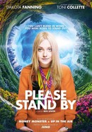 Please Stand By poster image