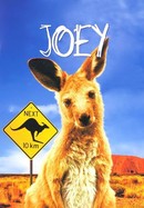 Joey poster image