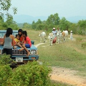 A scene from "Talking to the Trees." photo 16
