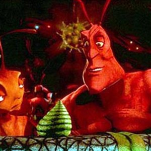 Z and Weaver talk over an Aphid beer - a scene from Antz also featured. photo 9
