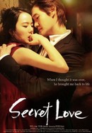 Secret Love poster image