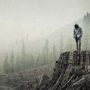 If a Tree Falls: A Story of the Earth Liberation Front photo 7