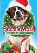 Beethoven's Christmas Adventure poster image