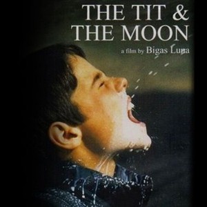 The Tit And The Moon Rotten Tomatoes