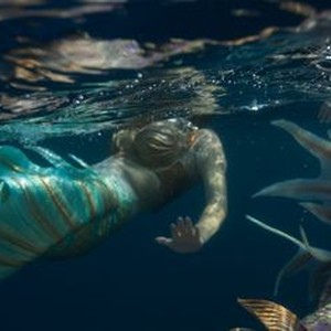 "Mermaids photo 5"