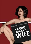 A Good Lawyer's Wife poster image