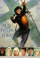 At Play in the Fields of the Lord poster image