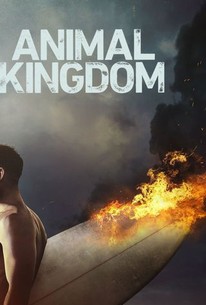 Animal Kingdom: Season 2 poster image