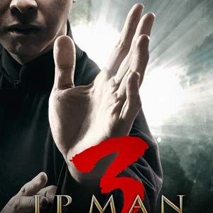 Ip Man 3 Rotten Tomatoes