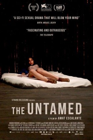 The Untamed poster