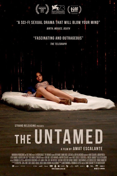 The Untamed poster