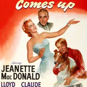 The Sun Comes Up (1949) photo 13