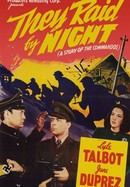 They Raid by Night poster image