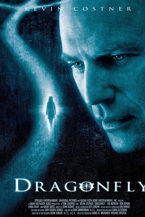 Dragonfly poster