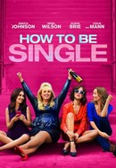 How to Be Single poster image