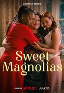 Sweet Magnolias poster image