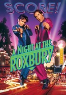 A Night at the Roxbury poster image