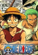 One Piece poster image