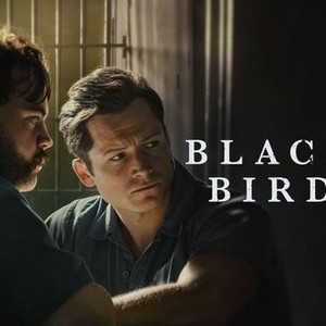 "Black Bird photo 3"