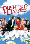 Pushing Daisies poster image