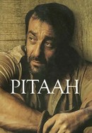 Pitaah poster image